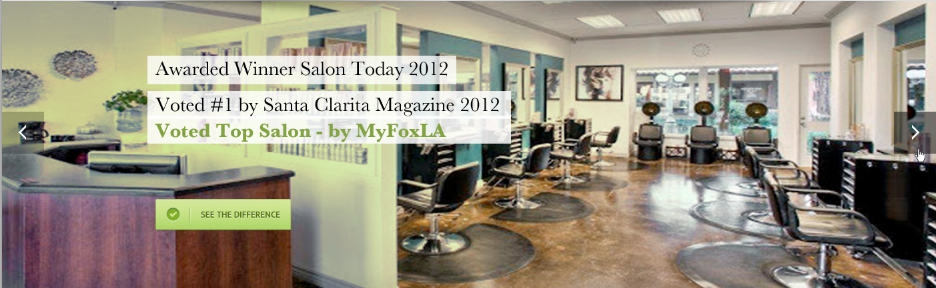 Top Salon Santa Clarita